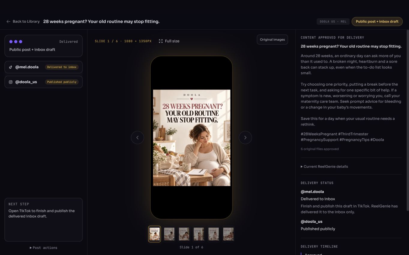 ReelGenie post review showing a six-slide carousel in a phone frame, its caption and hashtags, and a delivery status for TikTok and Instagram.